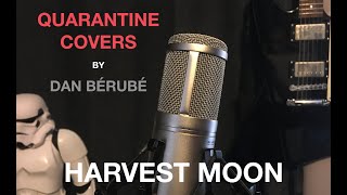 Harvest Moon - Neil Young (Quarantine Cover by Dan Berube)