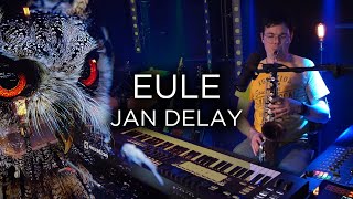 Eule - Jan Delay | Cover von Pandorsaurus