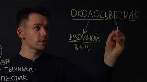 Строение цветка | ЕГЭ Биология | Даниил Дарвин