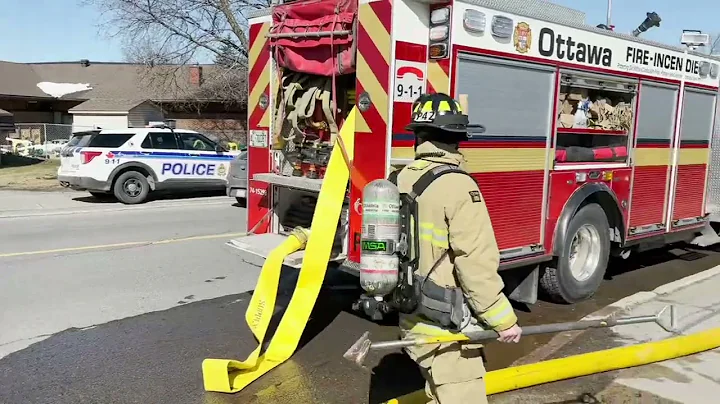 tragic fire in Bells Corners claims two feline lives