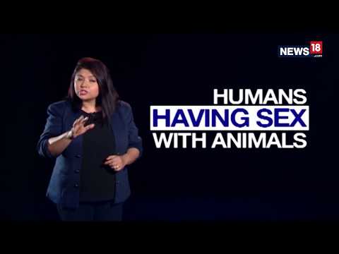 Sexofolia: The Real Story