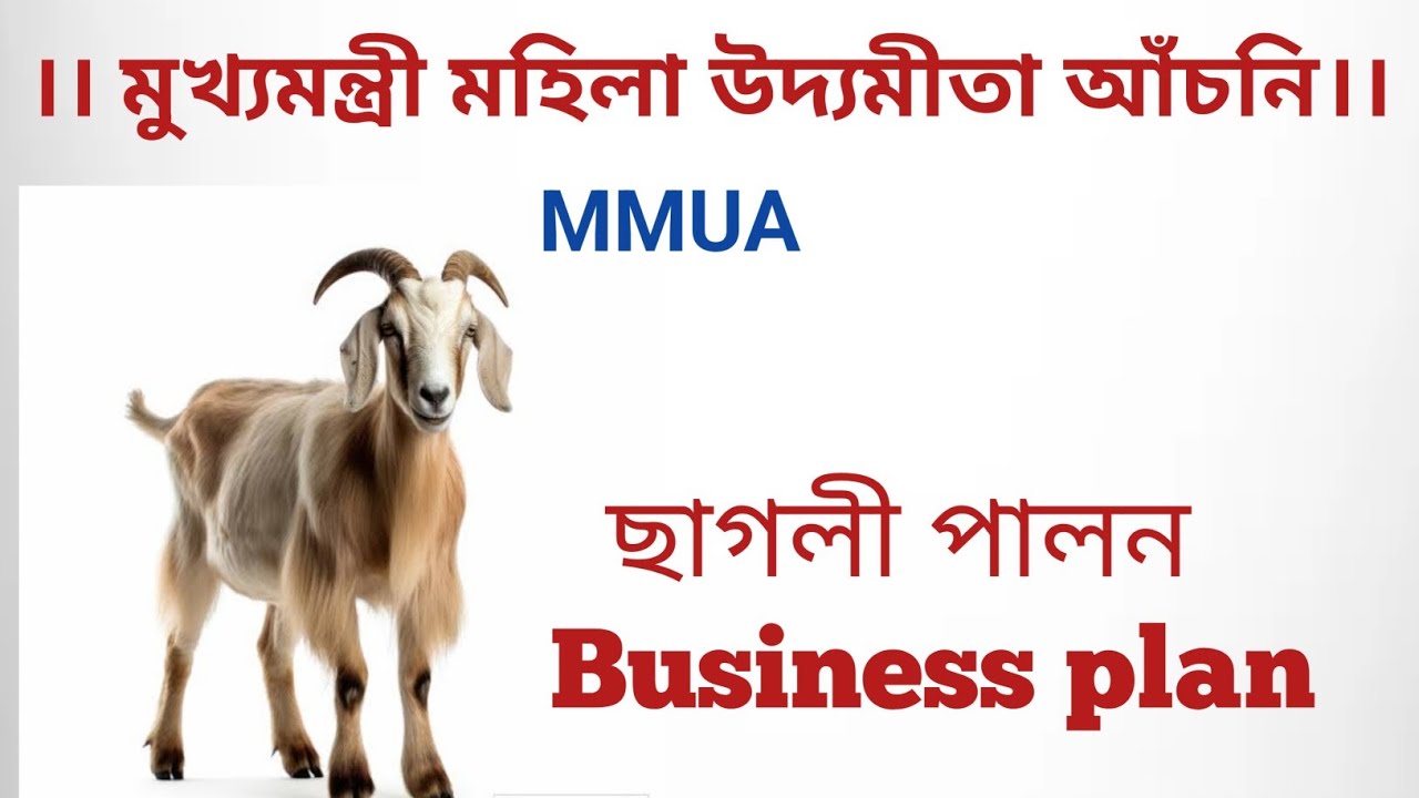 Mmua Goat Farming Business Plan Form Fill Up Shg 10000 Mmua Goat Farming Business Plan Form Fill Up Shg 10000