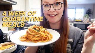 a week of quarantine meals | vegetarian