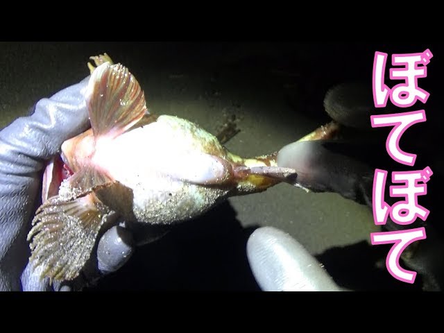 さかな sddefault.jpg