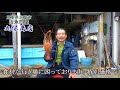 コロナ自粛で観光打撃！活魚問屋丸保商店様より伊勢海老激安価格で販売