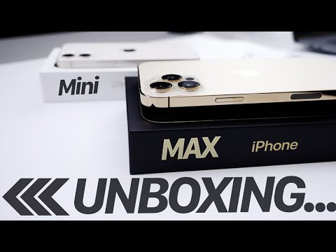 iPhone 12 Pro Max (Gold) & iPhone 12 Mini (White) ~ Big & small
