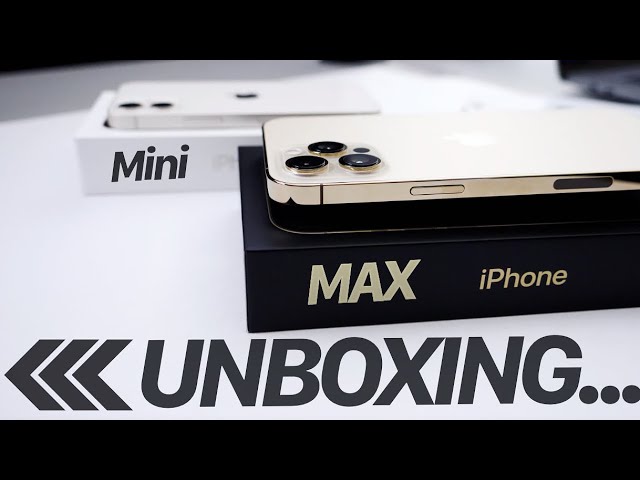 iPhone 12 Pro Max (Gold) & iPhone 12 Mini (White) ~ Big & small
