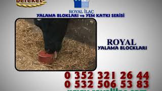 Royal İlaç - Yalama Bloklari