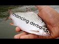 fishing for fish with tempeh and bread bait