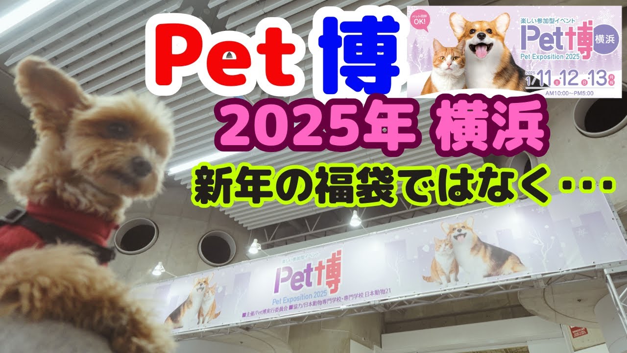 【ペット博 横浜会場】2025年1月11日～13日開催のイベントでお買い物してきましたが、お目当ての物が･･･