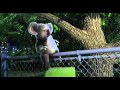 Большое путешествие 2006 Трейлер Mov 