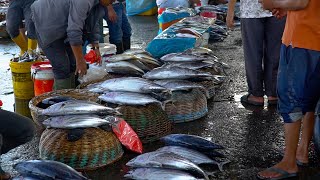 INDONESIA FISH MARKET🔪🔥 FOOD || BIG GT FISH CUTTING SKILLS VIDEO FISH MARKET INDONESIA