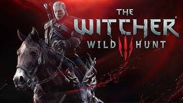 Lets Play The Witcher 3 Wildhunt Part 5 Finding the shield within a land of nameless flowers