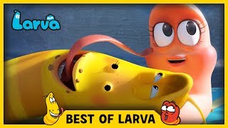 LARVA | BEST OF LARVA | Funny Cartoons for Kids | Cartoons For Children | LARVA 2017 WEEK 27