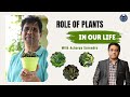 ROLE OF PLANTS IN YOUR LIFE | OXYGEN PRODUCTION| FOOD SOURCE| MEDICINAL PROPERTIES