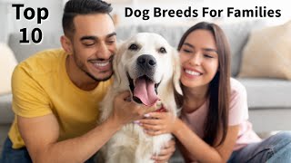 Top 10 Favorite Dog Breeds For Families