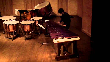 Sebastian Araya Luengo. Primer movimiento del concertino para Marimba de Paul Creston.