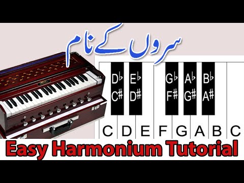 Name Of Musical Keys In Harmonium | Surro K Naam