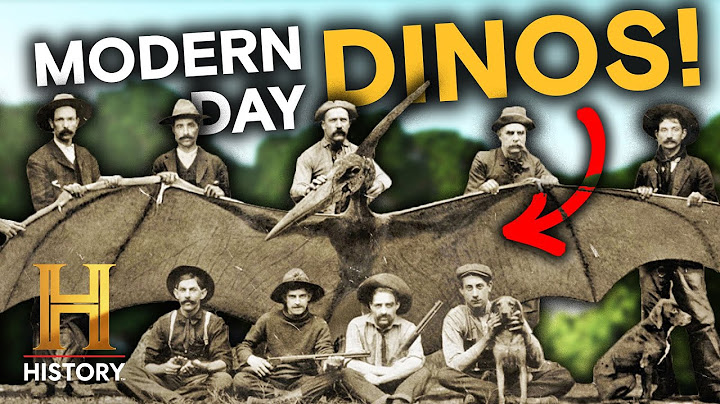Undiscovered Dinosaurs Revealed | The Proof Is Out There