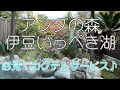 【伊豆】まさにバリのお宿 ※必見!カクテルサービス♪
