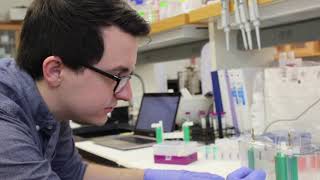 How to do a Western Blot Part 1