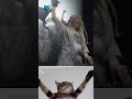 🎧⚡ FEEL THE DROP🔥💥 #BestDrops #Catreaction #DjPerformance #Shorts