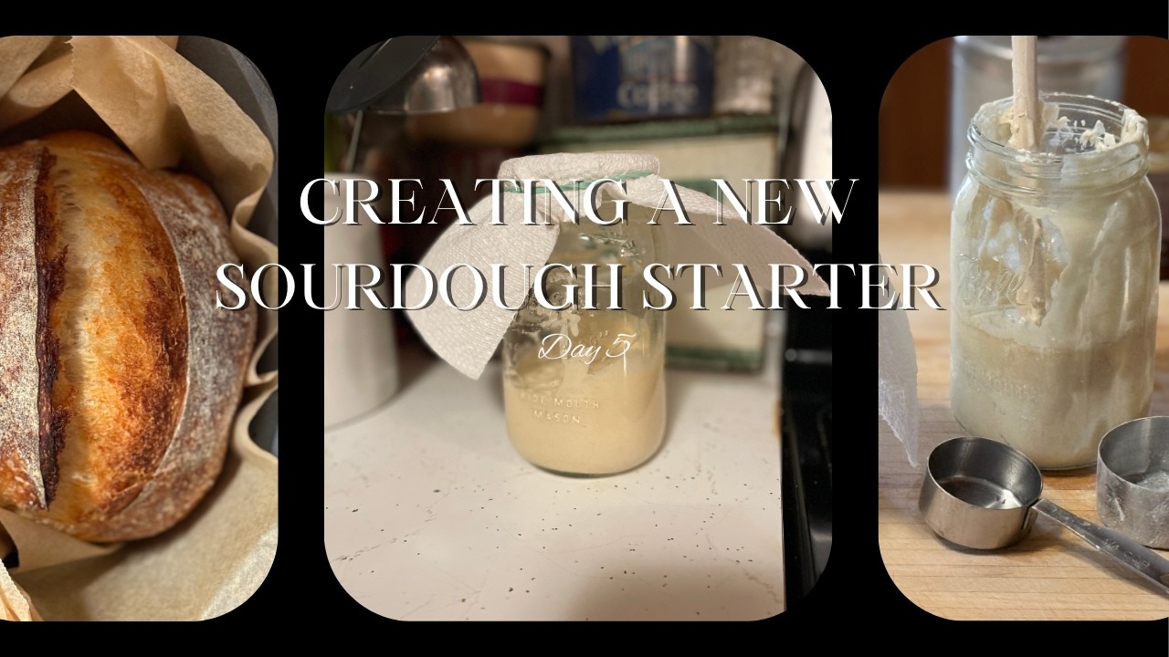 Creating a new sourdough day 5
