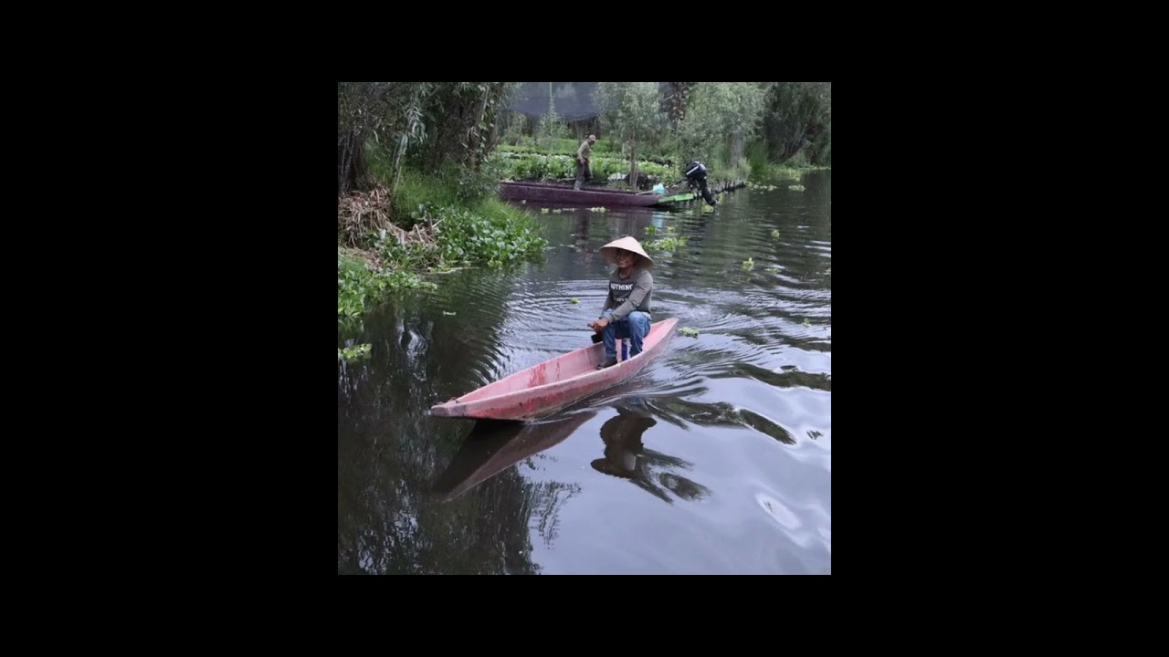 Comunidad Los Magueyes 