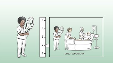 Entrusment Decision-making in practice | CZO Flex Level