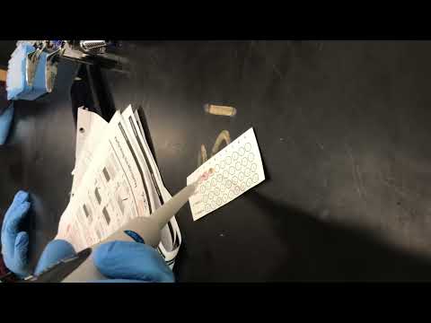 DNA Microarray Lab