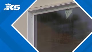 Gunfire strikes homes in South Seattle