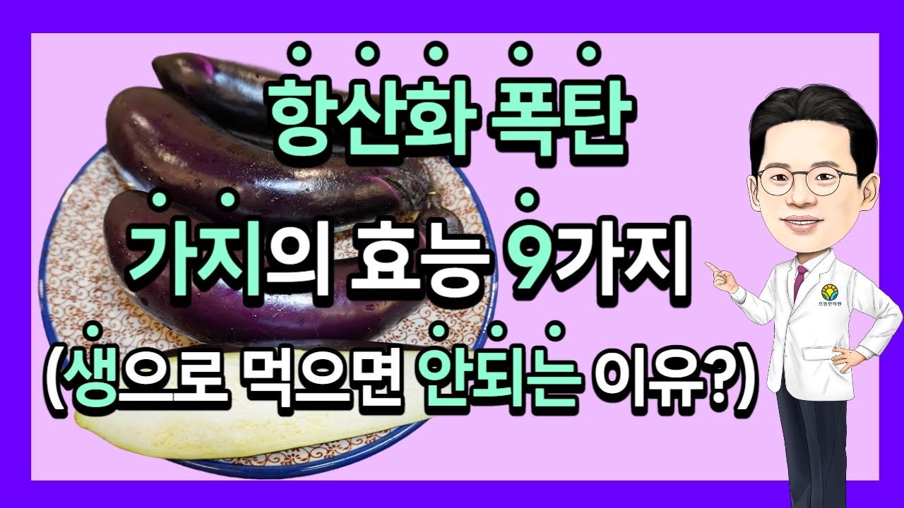 담적병에좋은음식 가지의효능 주의사항(feat.가지꼭지차) (담적보감㊺)