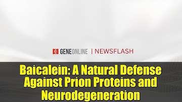 Baicalein: A Natural Defense Against Prion Proteins and Neurodegeneration