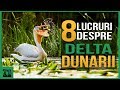 8 Lucruri interesante despre Delta Dunarii