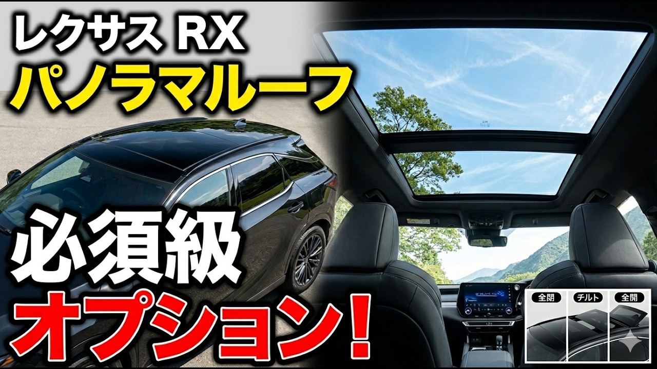 Detailed Explanation of Options: Panoramic Roof] The sense of