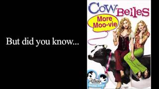 The Movies of Screenwriter Stuart Krieger