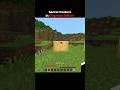 Minecraft Secret Feature Moment