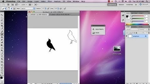 How to Import a Brush Into CS5 : Advanced Photoshop CS5