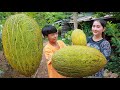 Bring sweet melon home and for juice | Sweet melon fruit drinking | Sros yummy cooking vlogs