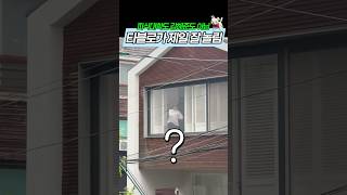 태양 놀리는 거 일등은 타블로임 ㅋㅋㅋㅋㅋㅋ