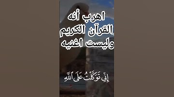 احترم القرآن دقيقه #تلاوة_خاشعة#اكسبلور #صلوا_على_النبي #اسلام_صبحي#quran #سورة_المؤمنون