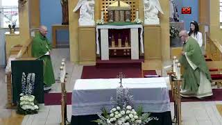 IV Domingo del tiempo Ordinario