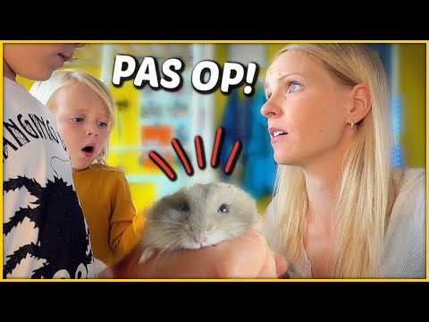 HiER GAAN HAMSTERS DOOD AAN! 😱 | Bellinga Vlog #1498