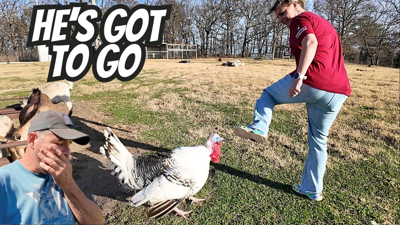 He ATTACKED Her For No Reason, All I Could Do Is Watch!