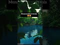 Monsoon life in kerala 😍 #monsoonrain #monsoontrek #kerala #travel #nature #likeandsubscribe