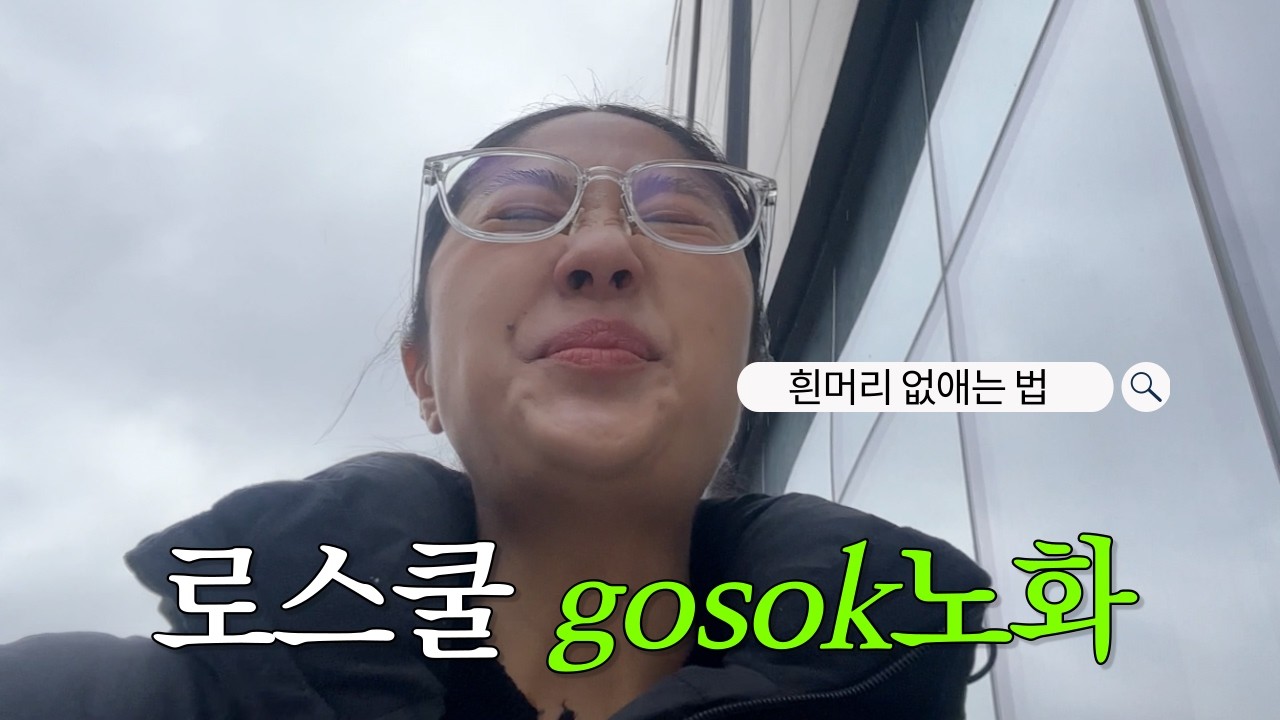 🇨🇦 과제 3개 돌리다 흰머리나는 로3 girl | 19시간 하루 로스쿨 브이로그