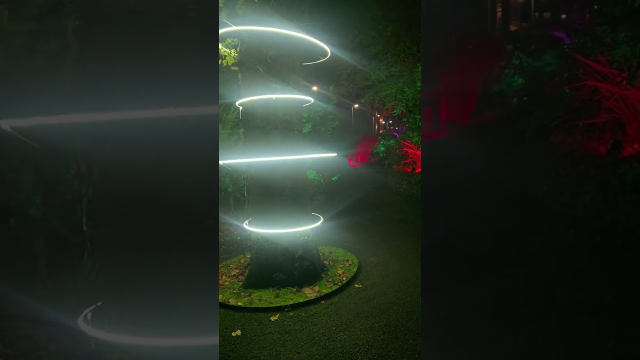 Reading Illuminate 2