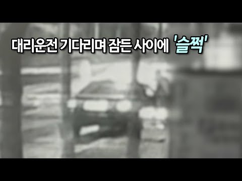 대리운전 기다리며 잠든 사이에 '슬쩍'…2인조 절도범 검거 / 연합뉴스 (Yonhapnews)