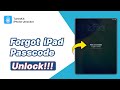 Forgot iPad Passcode? 4 Easy Methods to Fix!