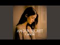 Amour Secret Amour Secret
